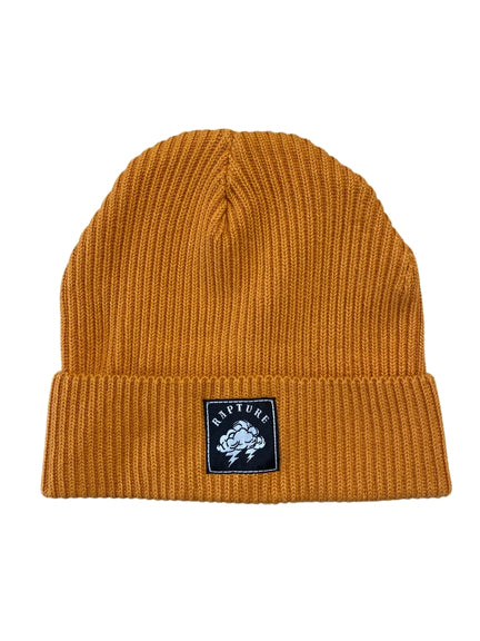 Original Beanie Day Fall